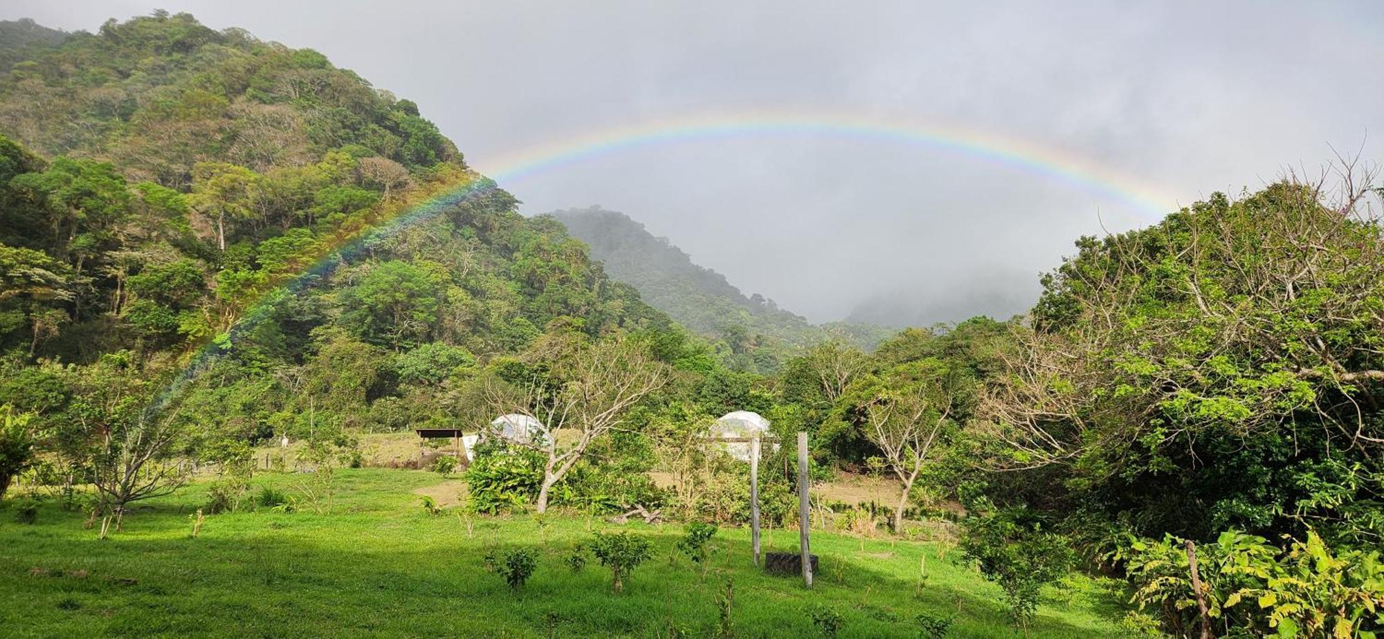 Domo Glamping Monteverde Exterior foto